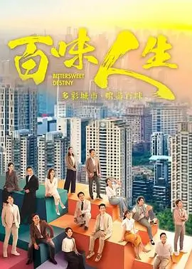 柠檬影视热播剧集雾港十三号海报